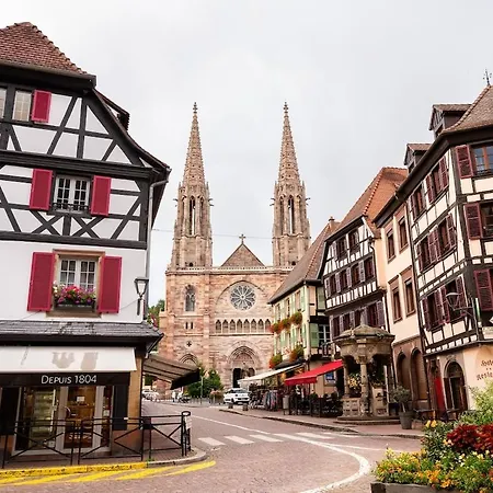 Apartment Au Cocon De J Obernai